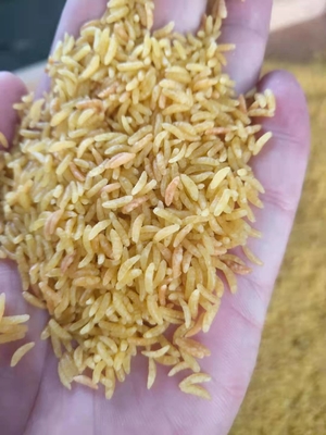 un riso artificiale di 201 304 ss che fa la pianta fortificata 150kg/H del macchinario del riso